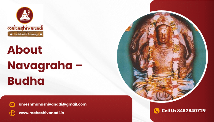 About Navagraha  – Budha