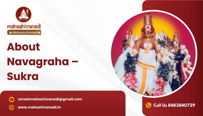 About Navagraha  – Sukra